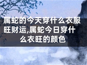 属蛇的今天穿什么衣服旺财运,属蛇今日穿什么衣旺的颜色