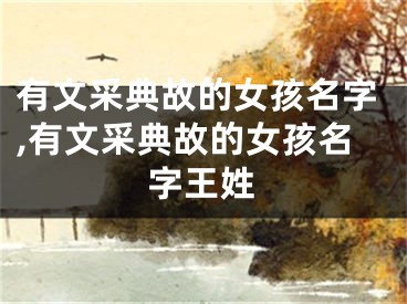 有文采典故的女孩名字,有文采典故的女孩名字王姓