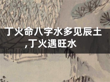 丁火命八字水多见辰土,丁火遇旺水