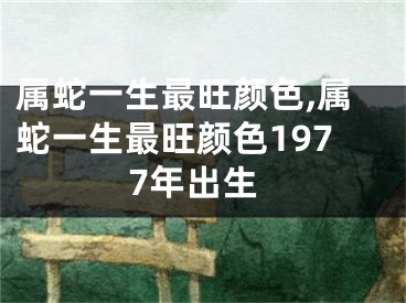 属蛇一生最旺颜色,属蛇一生最旺颜色1977年出生