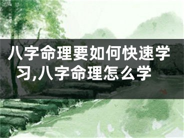 八字命理要如何快速学习,八字命理怎么学