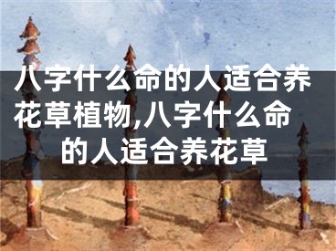 八字什么命的人适合养花草植物,八字什么命的人适合养花草
