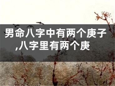 男命八字中有两个庚子,八字里有两个庚