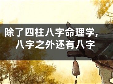 除了四柱八字命理学,八字之外还有八字