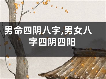 男命四阴八字,男女八字四阴四阳