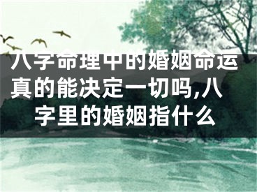 八字命理中的婚姻命运真的能决定一切吗,八字里的婚姻指什么
