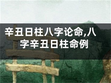 辛丑日柱八字论命,八字辛丑日柱命例