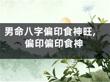 男命八字偏印食神旺,偏印偏印食神
