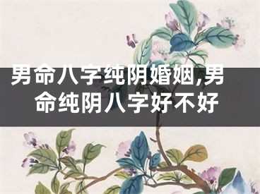 男命八字纯阴婚姻,男命纯阴八字好不好