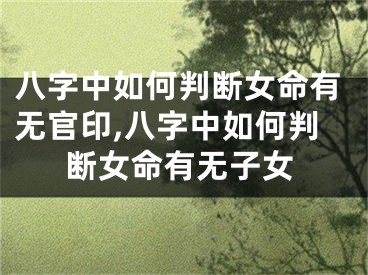 八字中如何判断女命有无官印,八字中如何判断女命有无子女