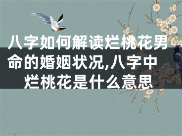 八字如何解读烂桃花男命的婚姻状况,八字中烂桃花是什么意思