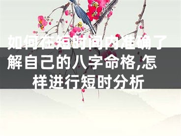 如何在短时间内准确了解自己的八字命格,怎样进行短时分析