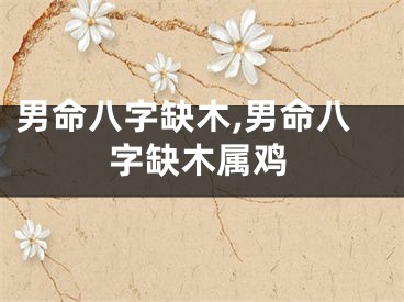 男命八字缺木,男命八字缺木属鸡