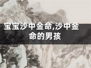 宝宝沙中金命,沙中金命的男孩