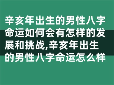 辛亥年出生的男性八字命运如何会有怎样的发展和挑战,辛亥年出生的男性八字命运怎么样