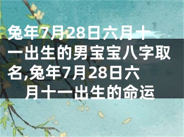 兔年7月28日六月十一出生的男宝宝八字取名,兔年7月28日六月十一出生的命运
