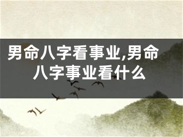 男命八字看事业,男命八字事业看什么