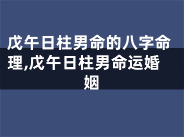 戊午日柱男命的八字命理,戊午日柱男命运婚姻