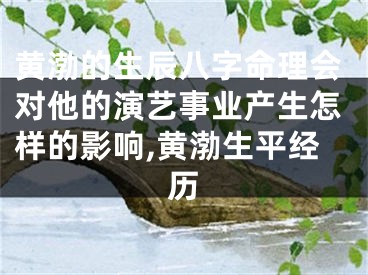 黄渤的生辰八字命理会对他的演艺事业产生怎样的影响,黄渤生平经历