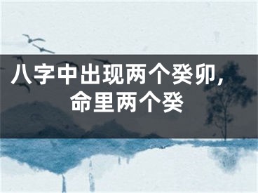 八字中出现两个癸卯,命里两个癸