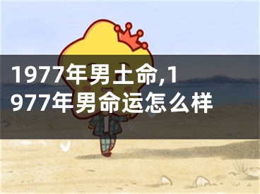 1977年男土命,1977年男命运怎么样