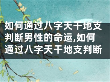 如何通过八字天干地支判断男性的命运,如何通过八字天干地支判断