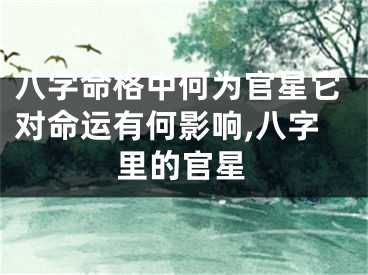 八字命格中何为官星它对命运有何影响,八字里的官星