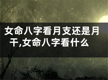 女命八字看月支还是月干,女命八字看什么