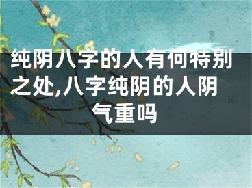 纯阴八字的人有何特别之处,八字纯阴的人阴气重吗