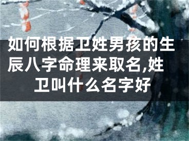 如何根据卫姓男孩的生辰八字命理来取名,姓卫叫什么名字好