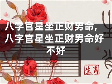 八字官星坐正财男命,八字官星坐正财男命好不好