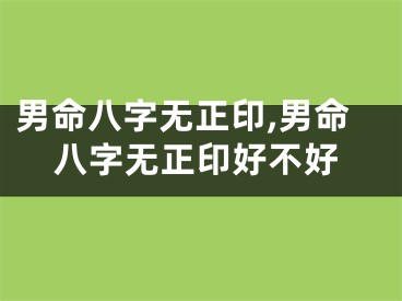 男命八字无正印,男命八字无正印好不好