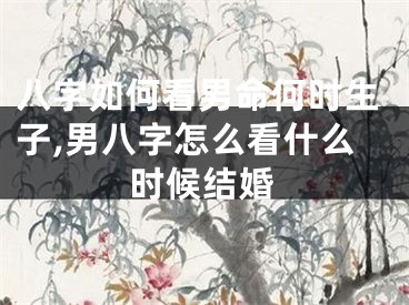 八字如何看男命何时生子,男八字怎么看什么时候结婚
