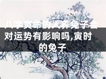 八字寅命的人养兔子会对运势有影响吗,寅时的兔子