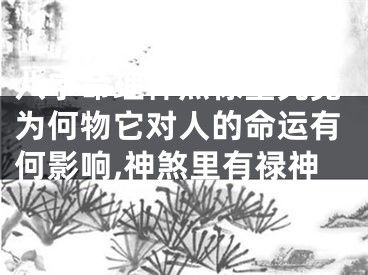 八字命理神煞禄堂究竟为何物它对人的命运有何影响,神煞里有禄神