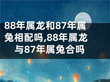 88年属龙和87年属兔相配吗,88年属龙与87年属兔合吗
