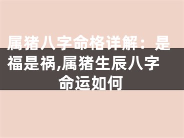 属猪八字命格详解：是福是祸,属猪生辰八字命运如何