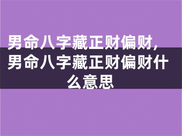 男命八字藏正财偏财,男命八字藏正财偏财什么意思
