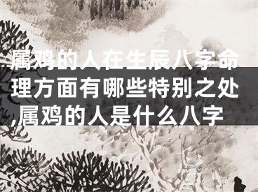 属鸡的人在生辰八字命理方面有哪些特别之处,属鸡的人是什么八字