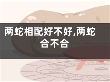 两蛇相配好不好,两蛇合不合