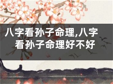 八字看孙子命理,八字看孙子命理好不好