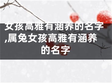 女孩高雅有涵养的名字,属兔女孩高雅有涵养的名字