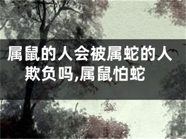 属鼠的人会被属蛇的人欺负吗,属鼠怕蛇