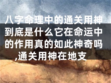 八字命理中的通关用神到底是什么它在命运中的作用真的如此神奇吗,通关用神在地支