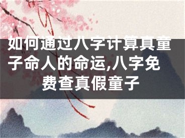 如何通过八字计算真童子命人的命运,八字免费查真假童子