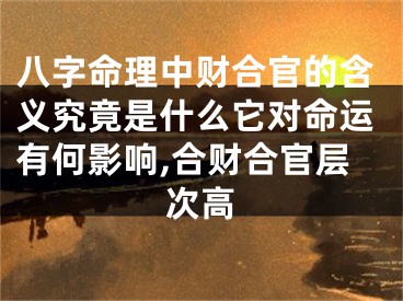 八字命理中财合官的含义究竟是什么它对命运有何影响,合财合官层次高