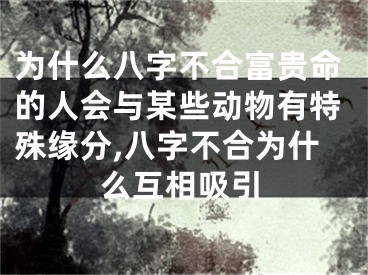 为什么八字不合富贵命的人会与某些动物有特殊缘分,八字不合为什么互相吸引