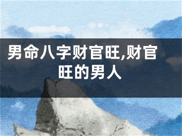 男命八字财官旺,财官旺的男人
