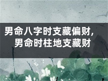 男命八字时支藏偏财,男命时柱地支藏财
