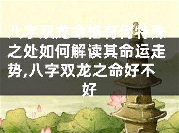 八字双龙命格有何特殊之处如何解读其命运走势,八字双龙之命好不好